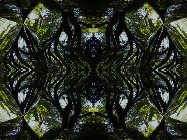 Digital Arts titled "Forest Abstract 74" by Kenneth Grzesik, Original Artwork, 2D Digital Work