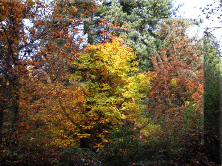 Фотография под названием "Autumn View 9" - Kenneth Grzesik, Подлинное произведение искусства, Манипулированная фотография
