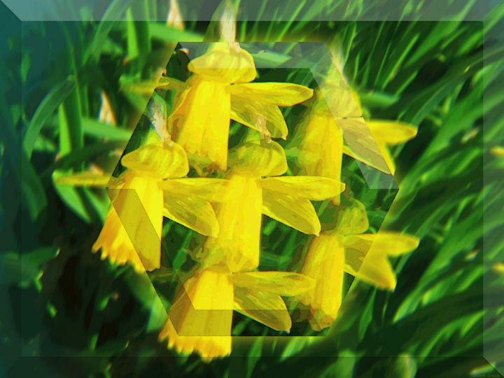 Digital Arts titled "Optical Garden 7" by Kenneth Grzesik, Original Art, 2D Digital Work