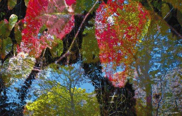 Digital Arts titled "Autumnly #8" by Kenneth Grzesik, Original Artwork, Digital Painting