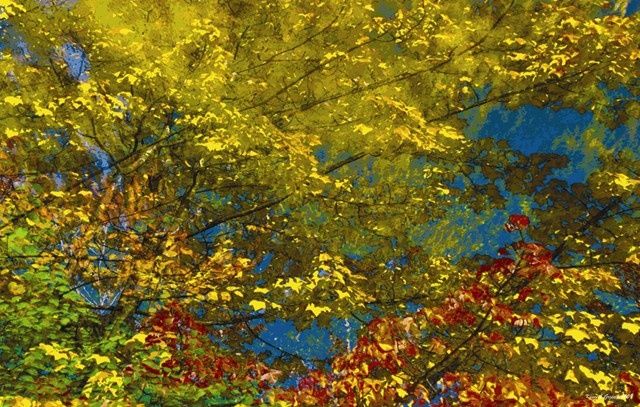 Digital Arts titled "Autumnly #17" by Kenneth Grzesik, Original Artwork, Digital Painting