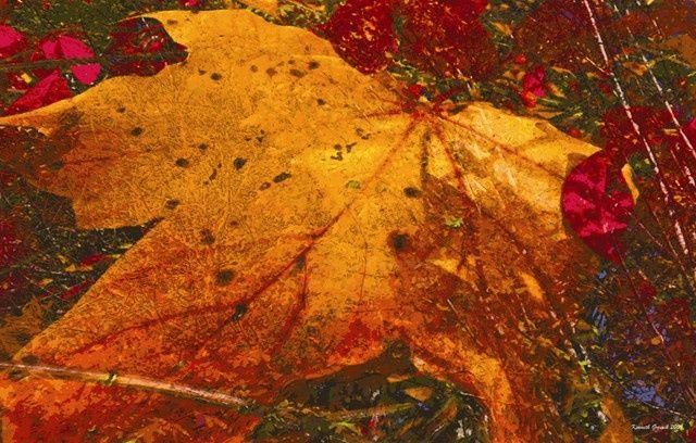 Digital Arts titled "Autumnly #27" by Kenneth Grzesik, Original Artwork, Digital Painting