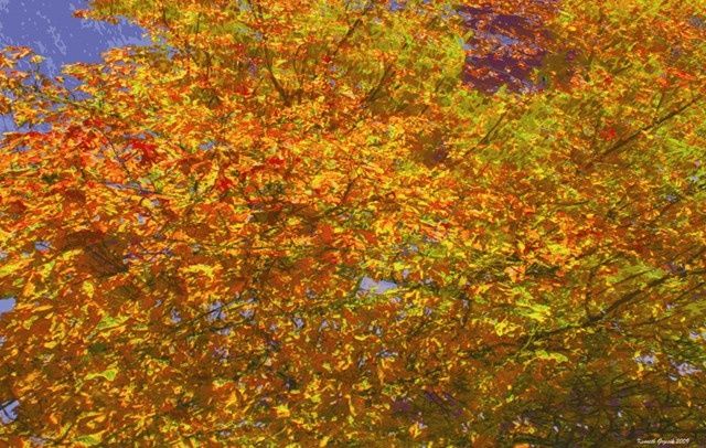Digital Arts titled "Autumnly #52" by Kenneth Grzesik, Original Artwork, Digital Painting