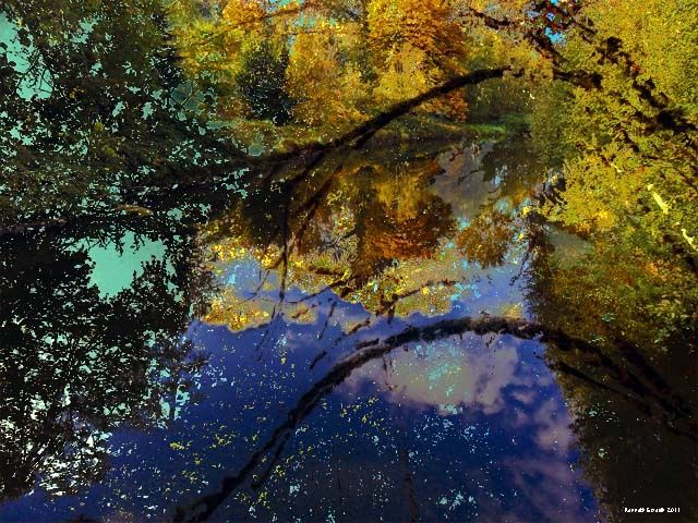 Digital Arts titled "Autumnism 16" by Kenneth Grzesik, Original Artwork, Digital Painting