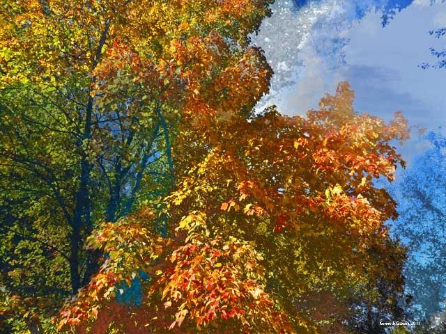 Arte digital titulada "Autumnism 19" por Kenneth Grzesik, Obra de arte original, Pintura Digital