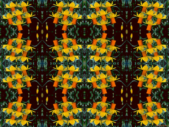 Digital Arts titled "Kaleidoscopic Garde…" by Kenneth Grzesik, Original Artwork, 2D Digital Work