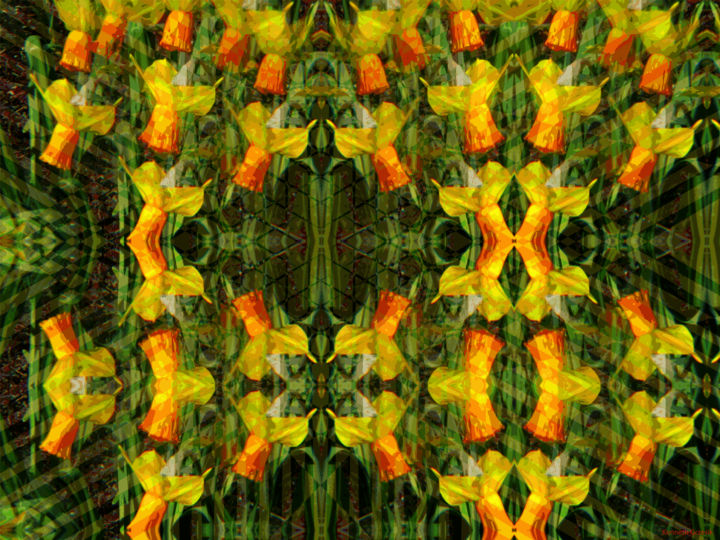 Digital Arts titled "Kaleidoscopic Garde…" by Kenneth Grzesik, Original Artwork, Digital Painting