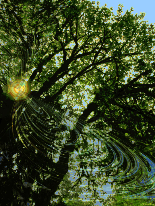 Grafika cyfrowa / sztuka generowana cyfrowo zatytułowany „Mystic Forest 10” autorstwa Kenneth Grzesik, Oryginalna praca, Mal…