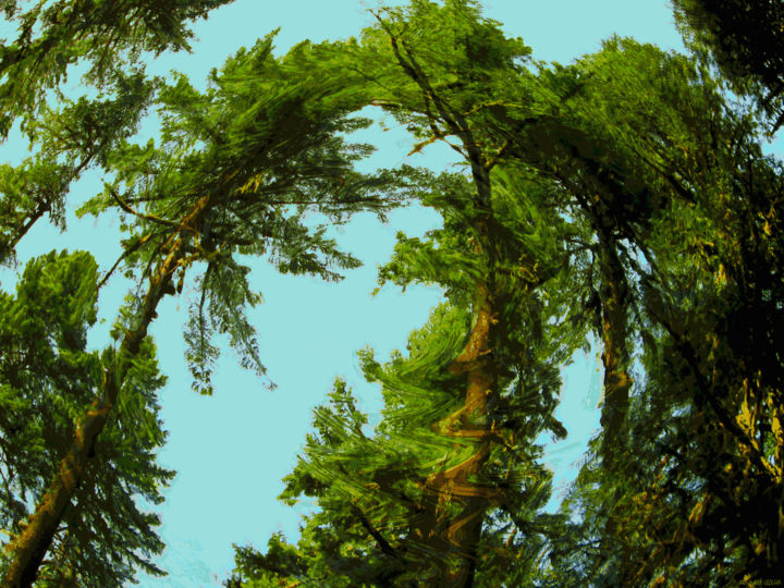 Digital Arts titled "Mystic Forest 19" by Kenneth Grzesik, Original Artwork, Digital Painting