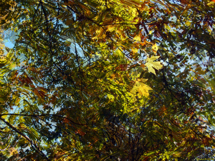 Digital Arts titled "October Transitions…" by Kenneth Grzesik, Original Artwork, Digital Painting