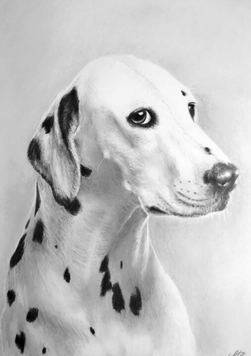 Dessin intitulée "PERRO III" par Sebastián Ruiz González, Œuvre d'art originale, Graphite