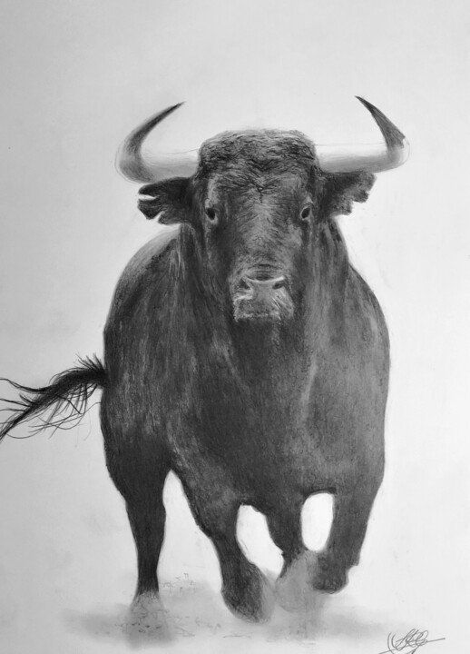 Dibujo titulada "TORO II" por Sebastián Ruiz González, Obra de arte original, Grafito