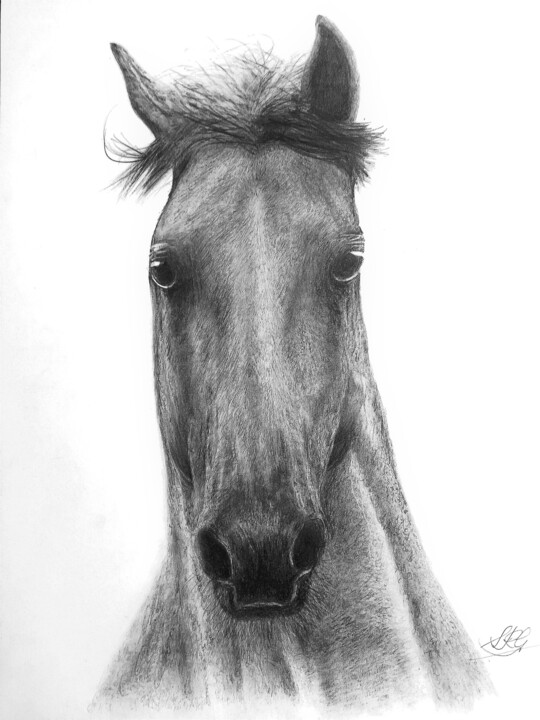 Dessin intitulée "CABALLO  I" par Sebastián Ruiz González, Œuvre d'art originale, Crayon