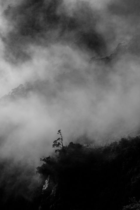 Fotografie mit dem Titel "Fog" von Sebastian Hartel, Original-Kunstwerk, Digitale Fotografie