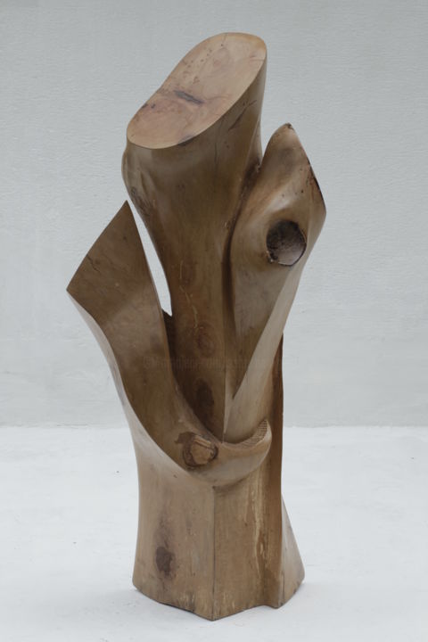 Sculpture intitulée "tendresse" par Sébastien Gleize, Œuvre d'art originale, Bois