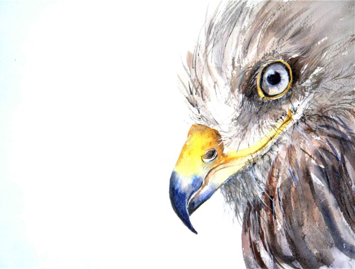 Painting titled "Rapace" by Jean Luc Secordel, Original Artwork, Watercolor