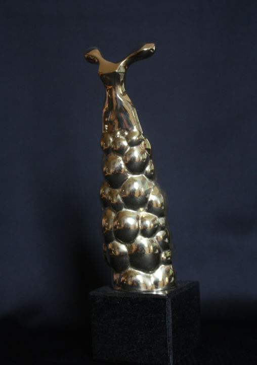 Sculpture titled "Robe Pétillante II" by Jivko Sedlarski, Original Artwork, Bronze