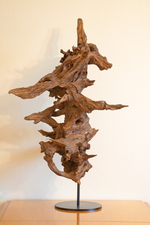 Escultura intitulada "Acacia decorative s…" por Jozef Sedmak, Obras de arte originais, Madeira