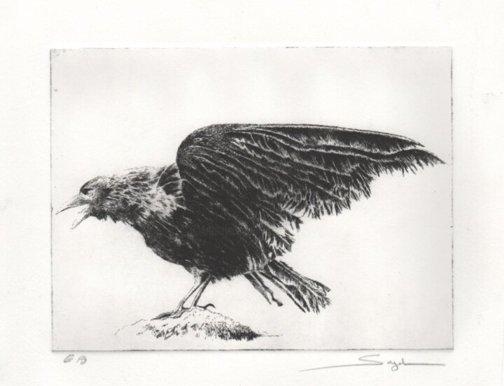 Druckgrafik mit dem Titel "Le corbeau" von Segal-Creismeas, Original-Kunstwerk, Radierung