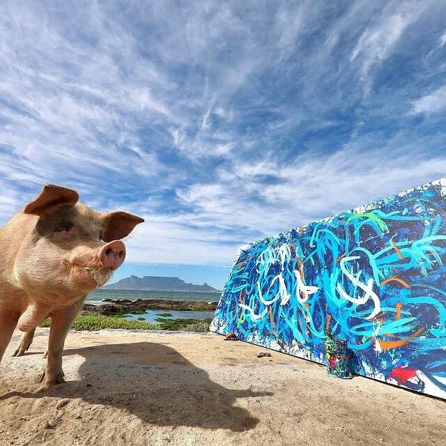 Pigcasso, the painter pig has just sold a work for 20,000 pounds sterling!