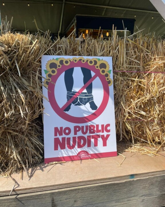 Ora è vietato scattare foto di nudo tra i girasoli