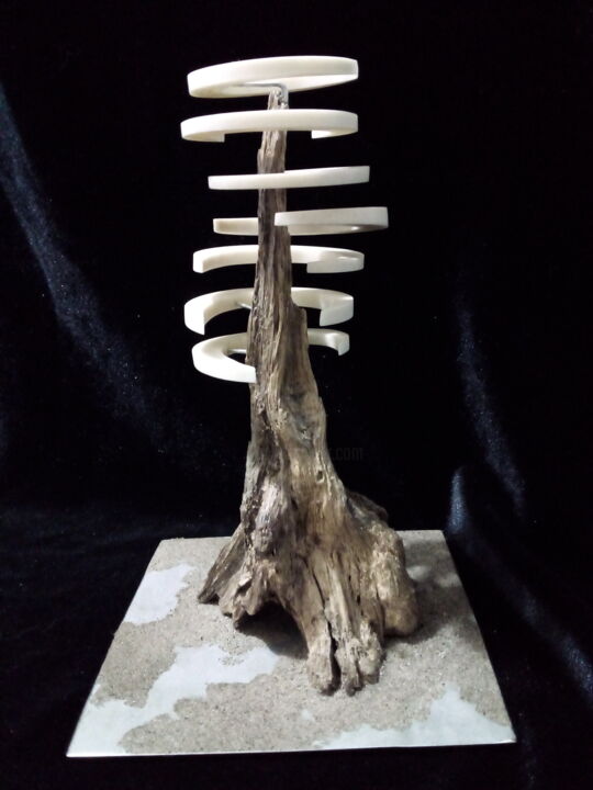 Sculpture titled "Ley lines concentra…" by Serendipity Liche, Original Artwork, Bone