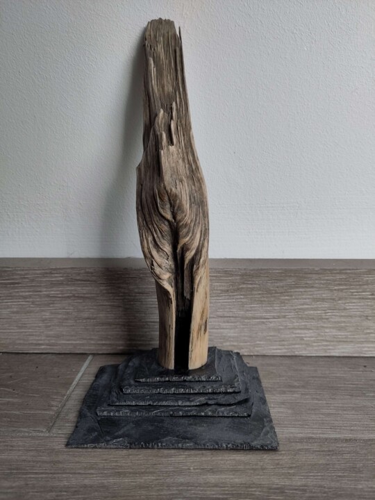 Escultura,  9,5x4,1 in 