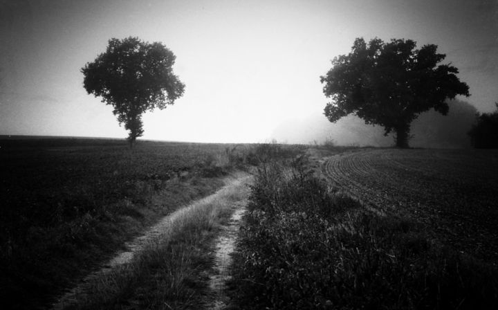 Photographie intitulée "Chemin intime 3" par Serge Ricome, Œuvre d'art originale, Photographie argentique