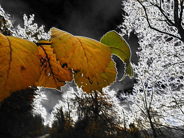 Photography titled "Soir d'Automne" by Serge Thiery, Original Artwork, Digital Photography