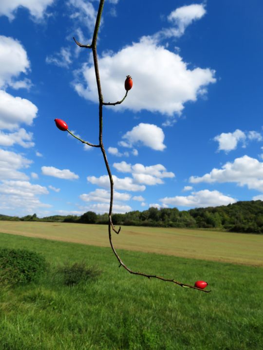 Photography titled "Dans les Nuages" by Serge Thiery, Original Artwork, Digital Photography