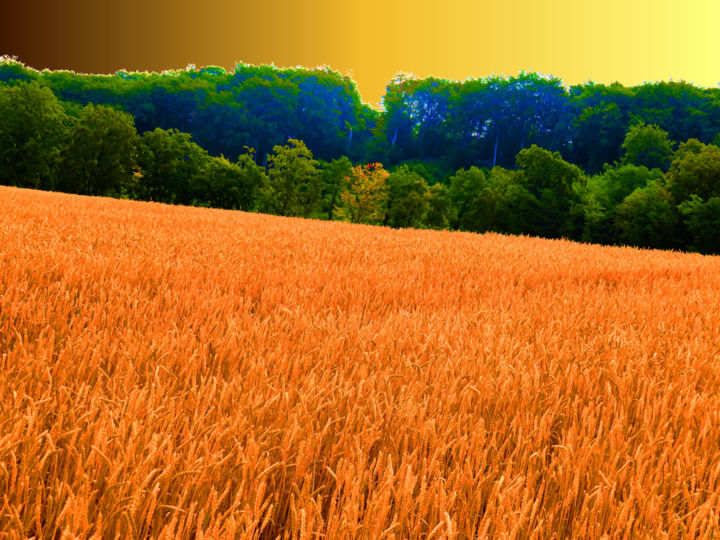 Photographie intitulée "Ciel d'Or" par Serge Thiery, Œuvre d'art originale, Photographie numérique