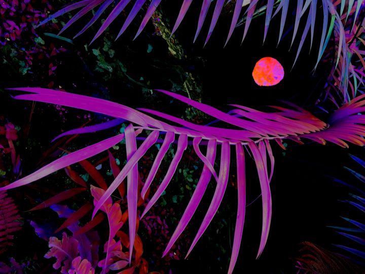 Digital Arts titled "Jungle Night" by Serge Thiery, Original Artwork, Other