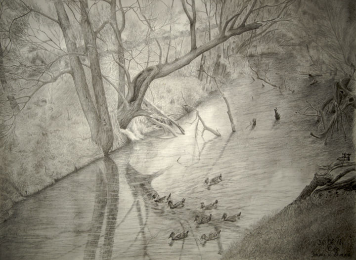 Drawing titled "Утки и ветки/ Ducks…" by Igor Sergeev, Original Artwork, Pencil