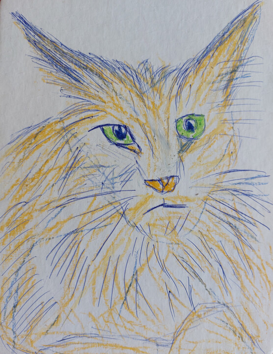 Dessin intitulée "Maine Coon cat" par Sergej Danko, Œuvre d'art originale, Pastel
