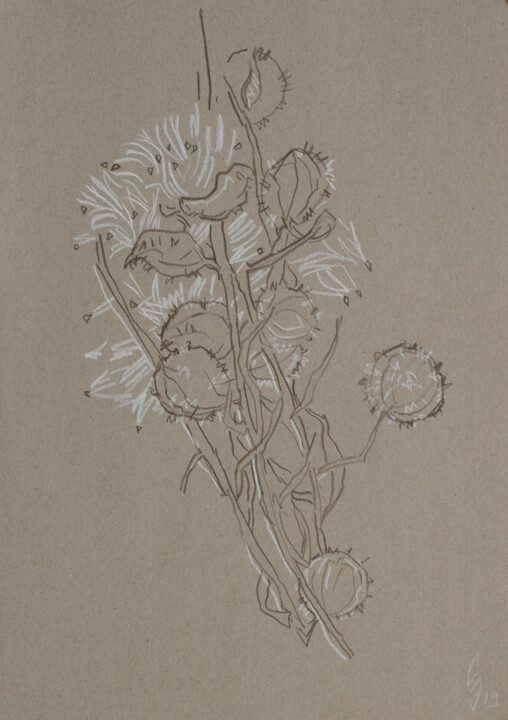 Zeichnungen mit dem Titel "Physalis seeds" von Sergey Sovkov, Original-Kunstwerk, Conté-Buntstifte