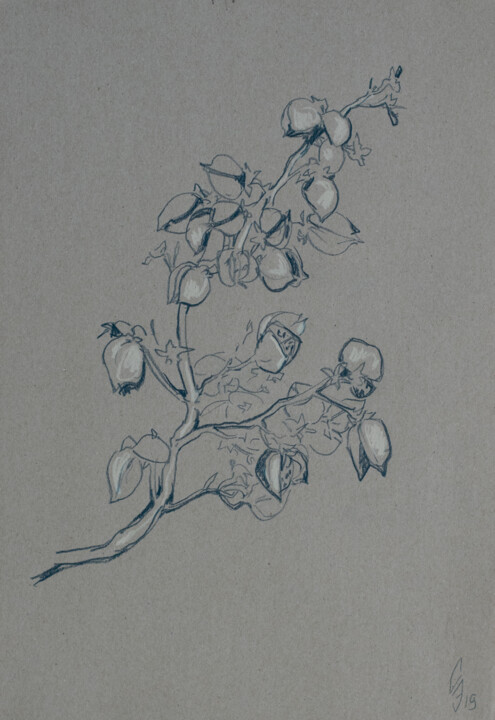 Zeichnungen mit dem Titel "Branch" von Sergey Sovkov, Original-Kunstwerk, Conté-Buntstifte