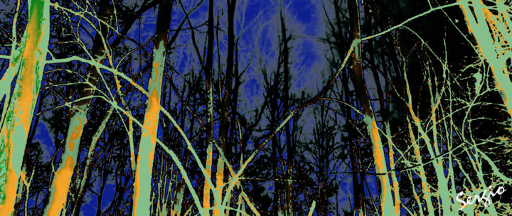 Digitale Kunst getiteld "Forest" door Sergio, Origineel Kunstwerk, Digitaal Schilderwerk