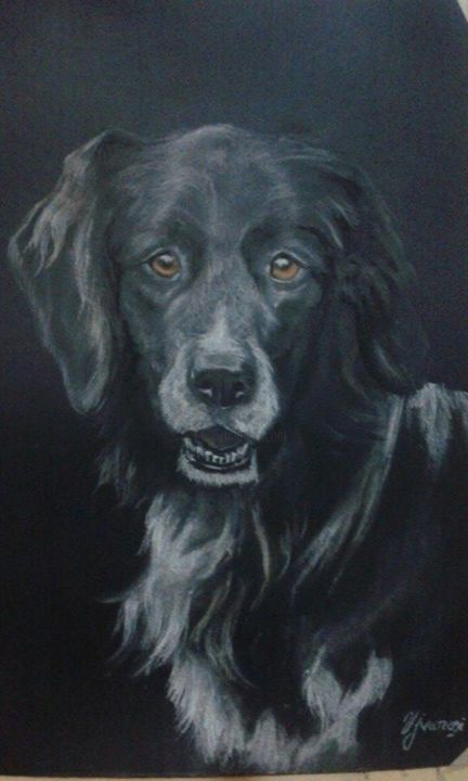 Drawing titled "Dog Portrait" by Ujvarosi, Original Artwork, Pastel