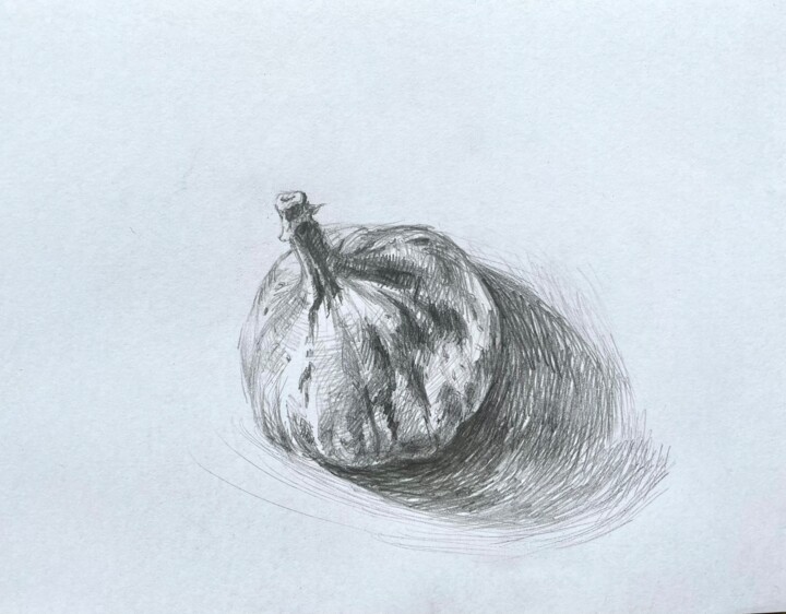 图画 标题为“The Fig” 由Marina Shavyrina-Shkoliar, 原创艺术品, 铅笔