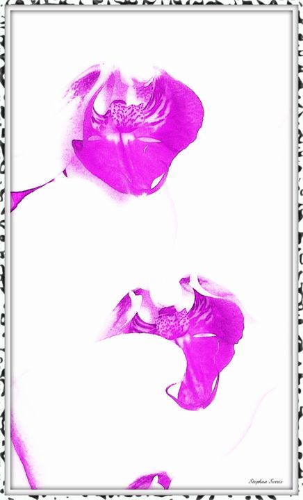Fotografie getiteld "Orchidée Pink Manta" door Stephan Serris, Origineel Kunstwerk, Gemanipuleerde fotografie