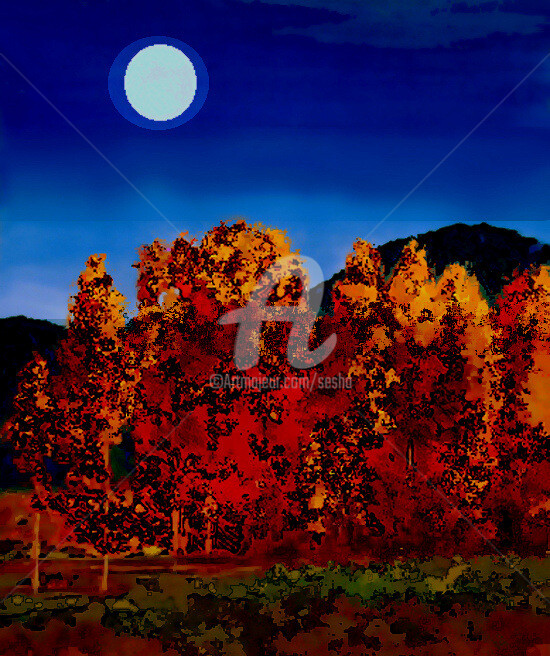 Digital Arts titled "Autumn Moon" by Sesha, Original Artwork, Oil