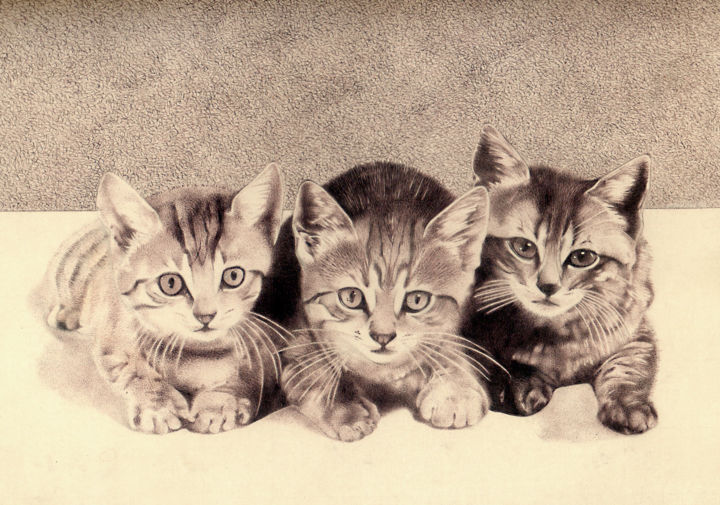 Drawing titled "gatos" by Sete Goytre, Original Artwork, Ballpoint pen