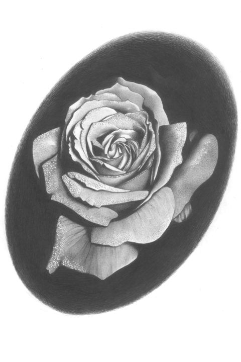Drawing titled "rosa" by Sete Goytre, Original Artwork, Ballpoint pen
