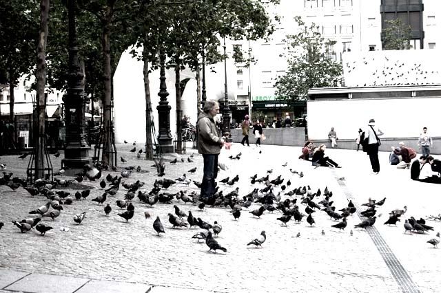 Фотография под названием "monsieur aux pigeon…" - Sève, Подлинное произведение искусства