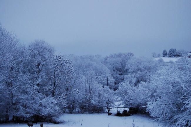 Photographie intitulée "neige pour belou" par Sève, Œuvre d'art originale