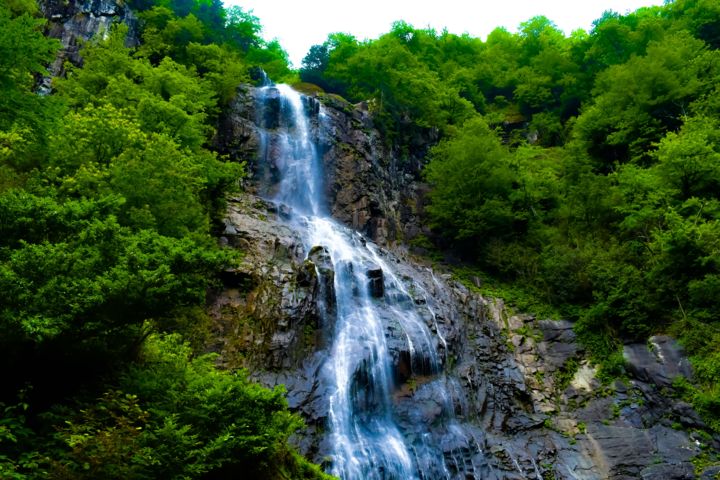 Фотография под названием "green and water" - Şeyma Kasan, Подлинное произведение искусства, Цифровая фотография