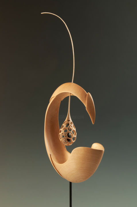 Sculpture titled "C'est tellement mys…" by Serge Ginglinger, Original Artwork, Wood