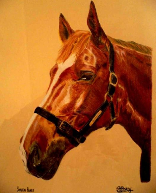 Σχέδιο με τίτλο "Skittles the Horse…" από Sharon Blakey, Αυθεντικά έργα τέχνης