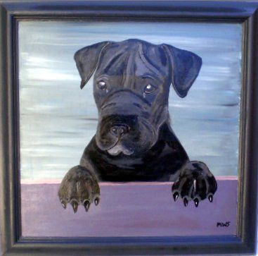 Painting titled "Black dog" by Shearart.Blogspot, Original Artwork