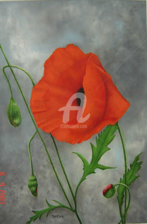 Pittura intitolato "Coquelicot dans le…" da Shena Ajuelos, Opera d'arte originale